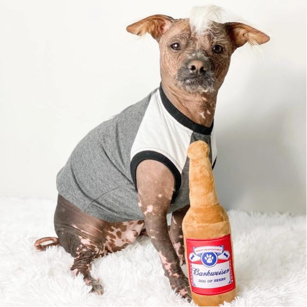 Dog with Barkweiser dog toy
